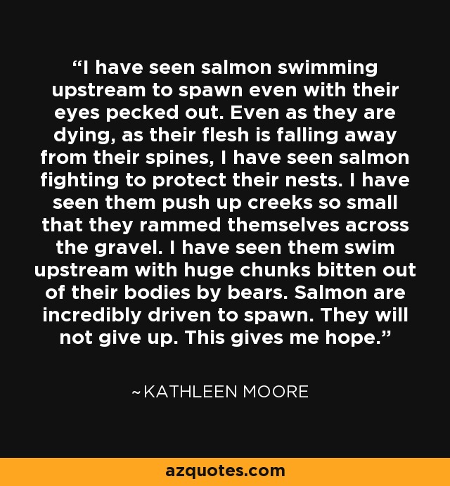 I have seen salmon swimming upstream to spawn even with their eyes pecked out. Even as they are dying, as their flesh is falling away from their spines, I have seen salmon fighting to protect their nests. I have seen them push up creeks so small that they rammed themselves across the gravel. I have seen them swim upstream with huge chunks bitten out of their bodies by bears. Salmon are incredibly driven to spawn. They will not give up. This gives me hope. - Kathleen Moore