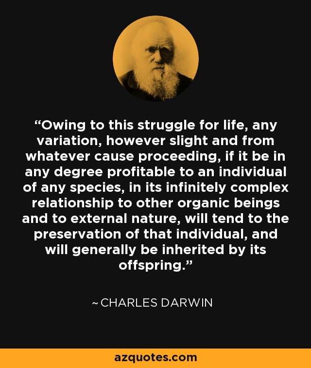 Owing to this struggle for life, any variation, however slight and from whatever cause proceeding, if it be in any degree profitable to an individual of any species, in its infinitely complex relationship to other organic beings and to external nature, will tend to the preservation of that individual, and will generally be inherited by its offspring. - Charles Darwin