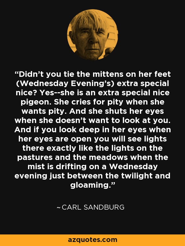Didn't you tie the mittens on her feet (Wednesday Evening's) extra special nice? Yes--she is an extra special nice pigeon. She cries for pity when she wants pity. And she shuts her eyes when she doesn't want to look at you. And if you look deep in her eyes when her eyes are open you will see lights there exactly like the lights on the pastures and the meadows when the mist is drifting on a Wednesday evening just between the twilight and gloaming. - Carl Sandburg