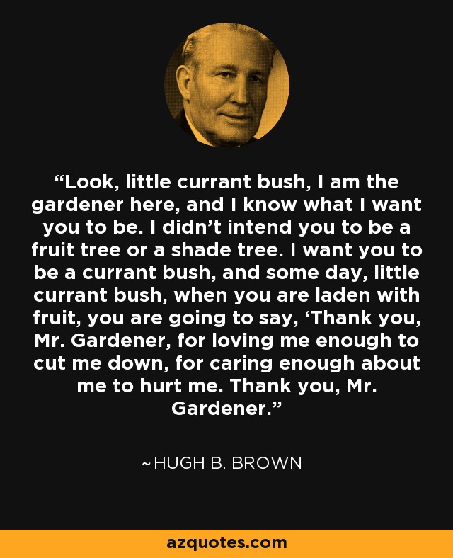 Look, little currant bush, I am the gardener here, and I know what I want you to be. I didn’t intend you to be a fruit tree or a shade tree. I want you to be a currant bush, and some day, little currant bush, when you are laden with fruit, you are going to say, ‘Thank you, Mr. Gardener, for loving me enough to cut me down, for caring enough about me to hurt me. Thank you, Mr. Gardener.’ - Hugh B. Brown