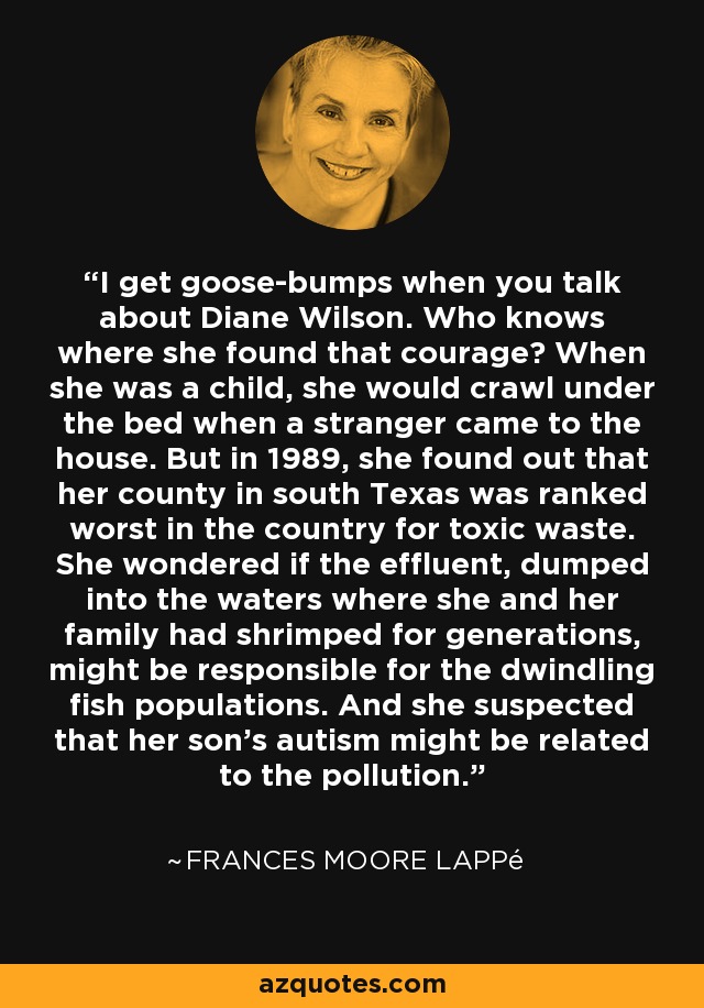 I get goose-bumps when you talk about Diane Wilson. Who knows where she found that courage? When she was a child, she would crawl under the bed when a stranger came to the house. But in 1989, she found out that her county in south Texas was ranked worst in the country for toxic waste. She wondered if the effluent, dumped into the waters where she and her family had shrimped for generations, might be responsible for the dwindling fish populations. And she suspected that her son's autism might be related to the pollution. - Frances Moore Lappé