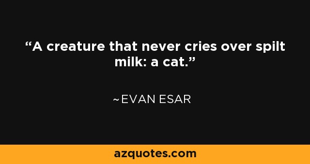 A creature that never cries over spilt milk: a cat. - Evan Esar