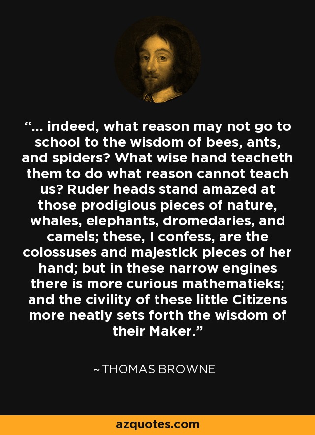 ... indeed, what reason may not go to school to the wisdom of bees, ants, and spiders? What wise hand teacheth them to do what reason cannot teach us? Ruder heads stand amazed at those prodigious pieces of nature, whales, elephants, dromedaries, and camels; these, I confess, are the colossuses and majestick pieces of her hand; but in these narrow engines there is more curious mathematieks; and the civility of these little Citizens more neatly sets forth the wisdom of their Maker. - Thomas Browne