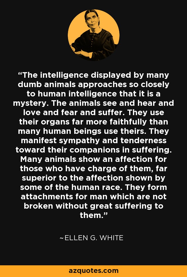 The intelligence displayed by many dumb animals approaches so closely to human intelligence that it is a mystery. The animals see and hear and love and fear and suffer. They use their organs far more faithfully than many human beings use theirs. They manifest sympathy and tenderness toward their companions in suffering. Many animals show an affection for those who have charge of them, far superior to the affection shown by some of the human race. They form attachments for man which are not broken without great suffering to them. - Ellen G. White