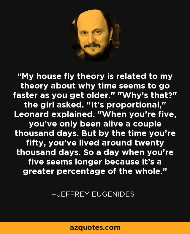 My house fly theory is related to my theory about why time seems to go faster as you get older.