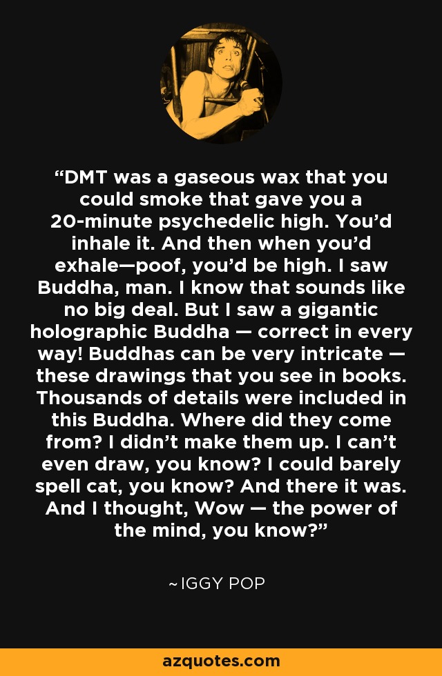 DMT was a gaseous wax that you could smoke that gave you a 20-minute psychedelic high. You'd inhale it. And then when you'd exhale—poof, you'd be high. I saw Buddha, man. I know that sounds like no big deal. But I saw a gigantic holographic Buddha — correct in every way! Buddhas can be very intricate — these drawings that you see in books. Thousands of details were included in this Buddha. Where did they come from? I didn't make them up. I can't even draw, you know? I could barely spell cat, you know? And there it was. And I thought, Wow — the power of the mind, you know? - Iggy Pop