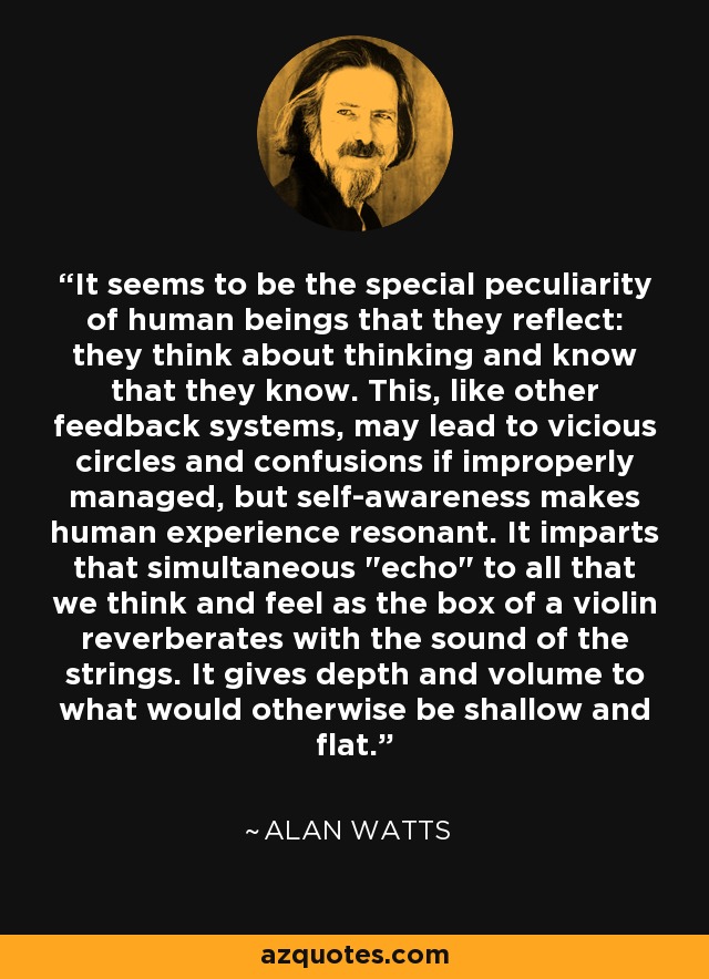 It seems to be the special peculiarity of human beings that they reflect: they think about thinking and know that they know. This, like other feedback systems, may lead to vicious circles and confusions if improperly managed, but self-awareness makes human experience resonant. It imparts that simultaneous 