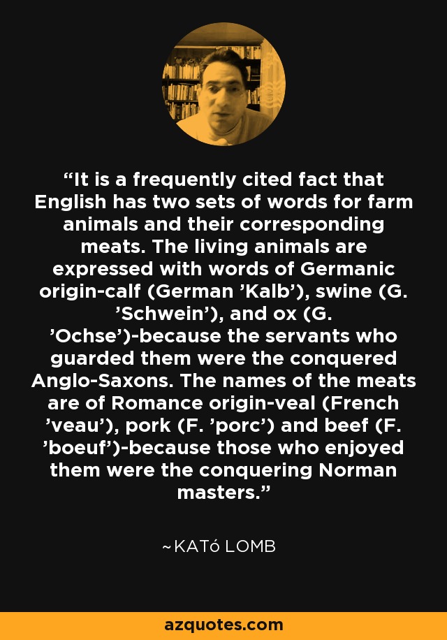 It is a frequently cited fact that English has two sets of words for farm animals and their corresponding meats. The living animals are expressed with words of Germanic origin-calf (German 'Kalb'), swine (G. 'Schwein'), and ox (G. 'Ochse')-because the servants who guarded them were the conquered Anglo-Saxons. The names of the meats are of Romance origin-veal (French 'veau'), pork (F. 'porc') and beef (F. 'boeuf')-because those who enjoyed them were the conquering Norman masters. - Kató Lomb