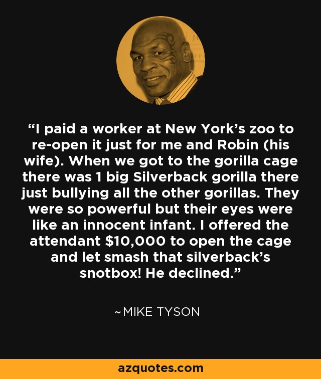 I paid a worker at New York's zoo to re-open it just for me and Robin (his wife). When we got to the gorilla cage there was 1 big Silverback gorilla there just bullying all the other gorillas. They were so powerful but their eyes were like an innocent infant. I offered the attendant $10,000 to open the cage and let smash that silverback's snotbox! He declined. - Mike Tyson