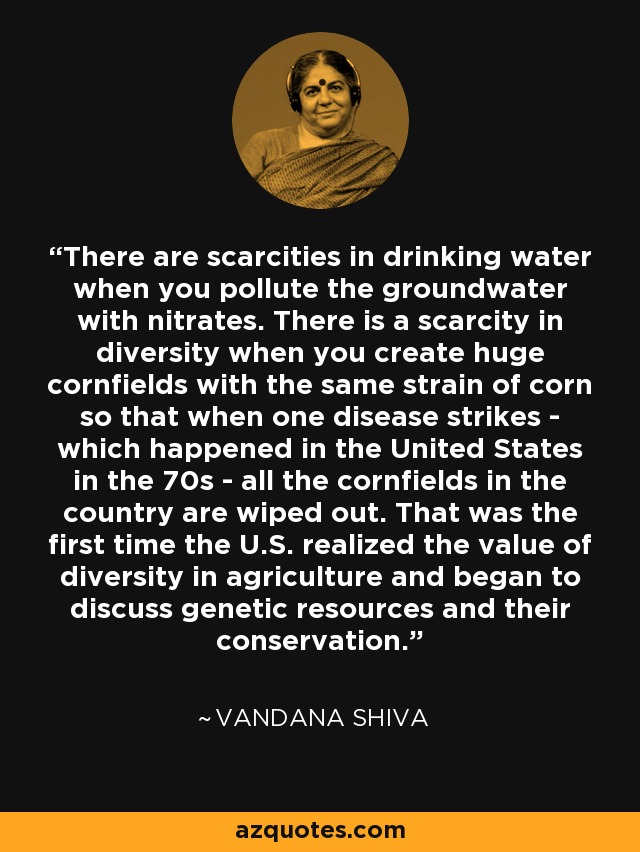 There are scarcities in drinking water when you pollute the groundwater with nitrates. There is a scarcity in diversity when you create huge cornfields with the same strain of corn so that when one disease strikes - which happened in the United States in the 70s - all the cornfields in the country are wiped out. That was the first time the U.S. realized the value of diversity in agriculture and began to discuss genetic resources and their conservation. - Vandana Shiva