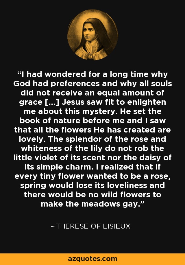 I had wondered for a long time why God had preferences and why all souls did not receive an equal amount of grace [...] Jesus saw fit to enlighten me about this mystery. He set the book of nature before me and I saw that all the flowers He has created are lovely. The splendor of the rose and whiteness of the lily do not rob the little violet of its scent nor the daisy of its simple charm. I realized that if every tiny flower wanted to be a rose, spring would lose its loveliness and there would be no wild flowers to make the meadows gay. - Therese of Lisieux