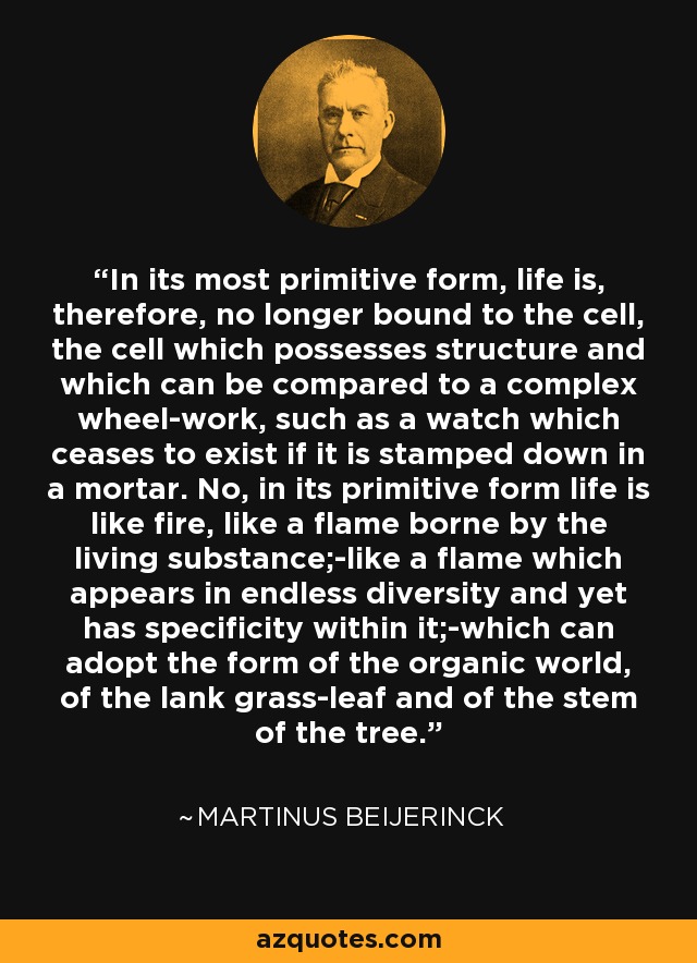 In its most primitive form, life is, therefore, no longer bound to the cell, the cell which possesses structure and which can be compared to a complex wheel-work, such as a watch which ceases to exist if it is stamped down in a mortar. No, in its primitive form life is like fire, like a flame borne by the living substance;-like a flame which appears in endless diversity and yet has specificity within it;-which can adopt the form of the organic world, of the lank grass-leaf and of the stem of the tree. - Martinus Beijerinck