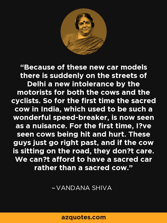 Because of these new car models there is suddenly on the streets of Delhi a new intolerance by the motorists for both the cows and the cyclists. So for the first time the sacred cow in India, which used to be such a wonderful speed-breaker, is now seen as a nuisance. For the first time, Ive seen cows being hit and hurt. These guys just go right past, and if the cow is sitting on the road, they dont care. We cant afford to have a sacred car rather than a sacred cow. - Vandana Shiva