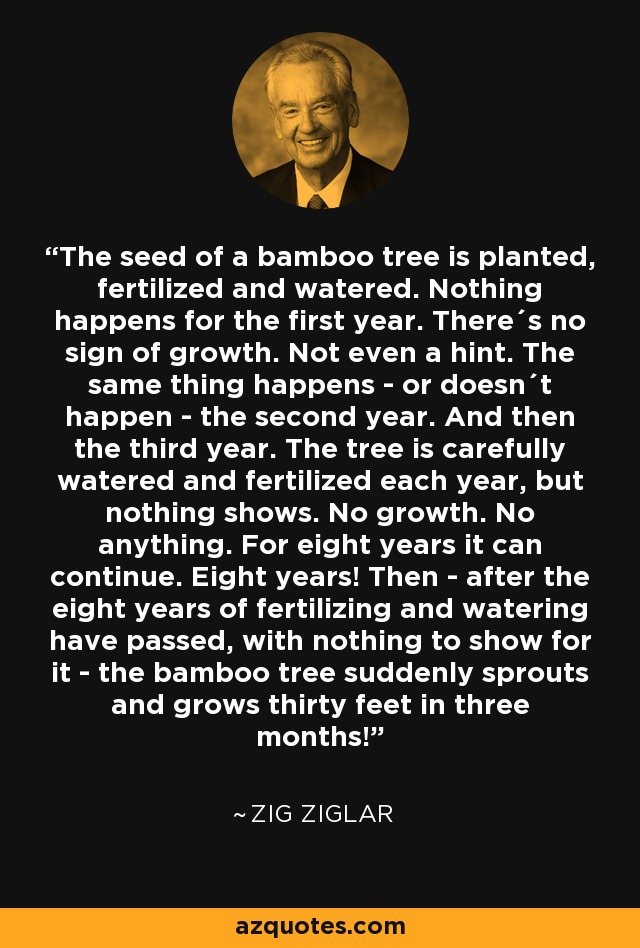 The seed of a bamboo tree is planted, fertilized and watered. Nothing happens for the first year. There´s no sign of growth. Not even a hint. The same thing happens - or doesn´t happen - the second year. And then the third year. The tree is carefully watered and fertilized each year, but nothing shows. No growth. No anything. For eight years it can continue. Eight years! Then - after the eight years of fertilizing and watering have passed, with nothing to show for it - the bamboo tree suddenly sprouts and grows thirty feet in three months! - Zig Ziglar