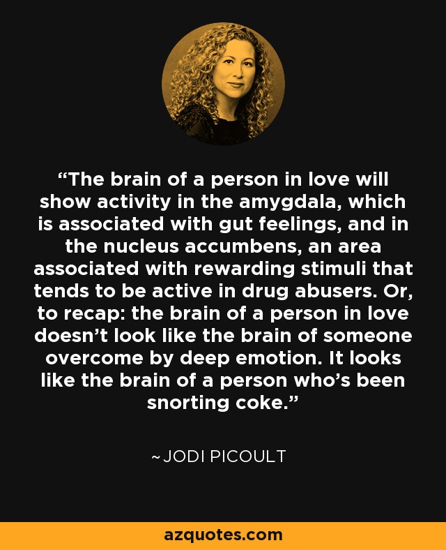 The brain of a person in love will show activity in the amygdala, which is associated with gut feelings, and in the nucleus accumbens, an area associated with rewarding stimuli that tends to be active in drug abusers. Or, to recap: the brain of a person in love doesn't look like the brain of someone overcome by deep emotion. It looks like the brain of a person who's been snorting coke. - Jodi Picoult