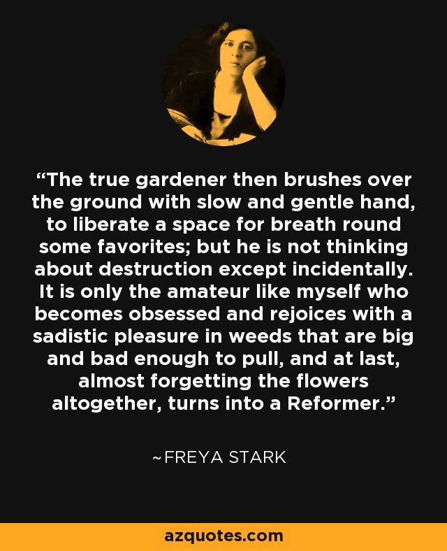 The true gardener then brushes over the ground with slow and gentle hand, to liberate a space for breath round some favorites; but he is not thinking about destruction except incidentally. It is only the amateur like myself who becomes obsessed and rejoices with a sadistic pleasure in weeds that are big and bad enough to pull, and at last, almost forgetting the flowers altogether, turns into a Reformer. - Freya Stark