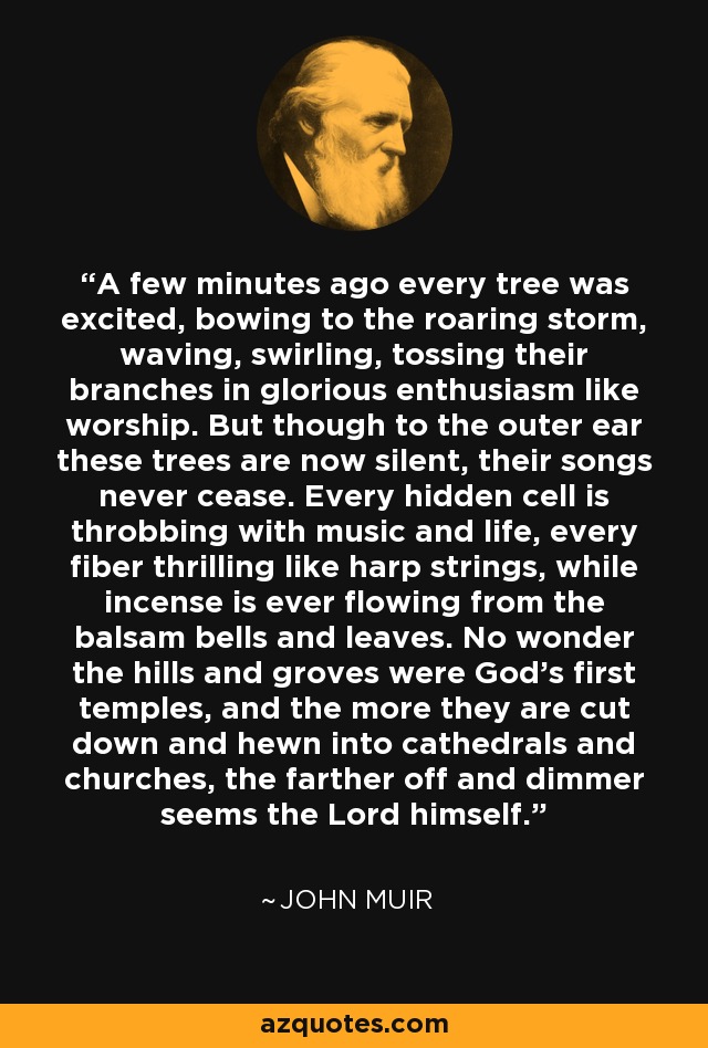 A few minutes ago every tree was excited, bowing to the roaring storm, waving, swirling, tossing their branches in glorious enthusiasm like worship. But though to the outer ear these trees are now silent, their songs never cease. Every hidden cell is throbbing with music and life, every fiber thrilling like harp strings, while incense is ever flowing from the balsam bells and leaves. No wonder the hills and groves were God's first temples, and the more they are cut down and hewn into cathedrals and churches, the farther off and dimmer seems the Lord himself. - John Muir