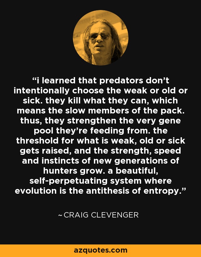 i learned that predators don't intentionally choose the weak or old or sick. they kill what they can, which means the slow members of the pack. thus, they strengthen the very gene pool they're feeding from. the threshold for what is weak, old or sick gets raised, and the strength, speed and instincts of new generations of hunters grow. a beautiful, self-perpetuating system where evolution is the antithesis of entropy. - Craig Clevenger