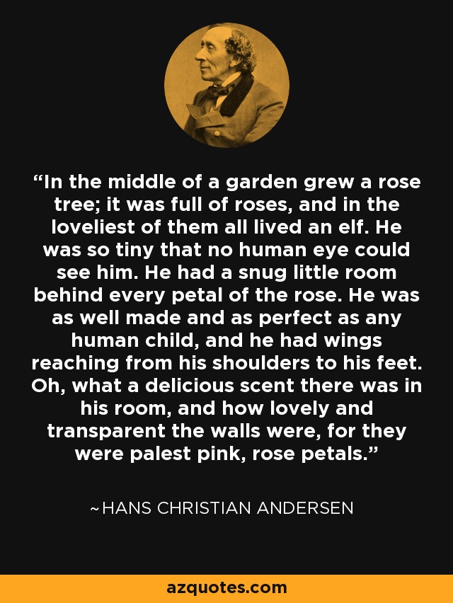 In the middle of a garden grew a rose tree; it was full of roses, and in the loveliest of them all lived an elf. He was so tiny that no human eye could see him. He had a snug little room behind every petal of the rose. He was as well made and as perfect as any human child, and he had wings reaching from his shoulders to his feet. Oh, what a delicious scent there was in his room, and how lovely and transparent the walls were, for they were palest pink, rose petals. - Hans Christian Andersen