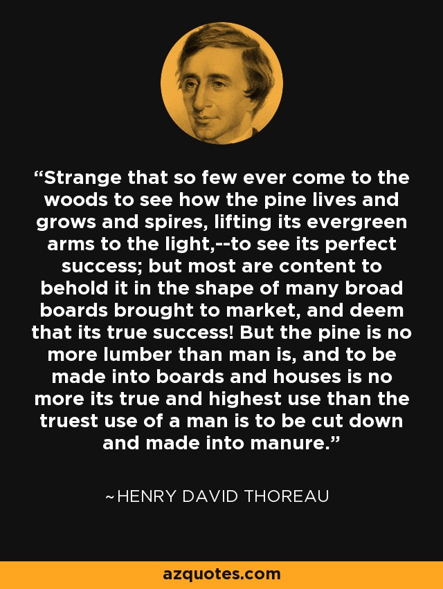 Strange that so few ever come to the woods to see how the pine lives and grows and spires, lifting its evergreen arms to the light,--to see its perfect success; but most are content to behold it in the shape of many broad boards brought to market, and deem that its true success! But the pine is no more lumber than man is, and to be made into boards and houses is no more its true and highest use than the truest use of a man is to be cut down and made into manure. - Henry David Thoreau