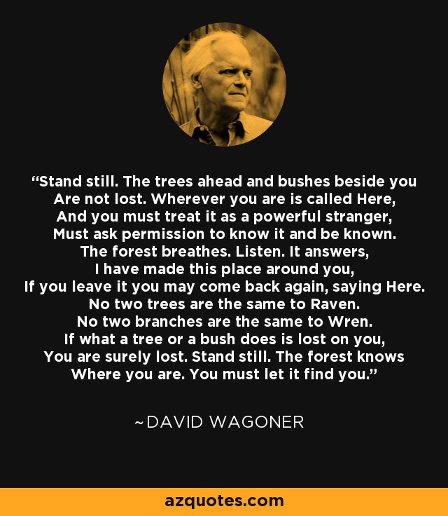 Stand still. The trees ahead and bushes beside you Are not lost. Wherever you are is called Here, And you must treat it as a powerful stranger, Must ask permission to know it and be known. The forest breathes. Listen. It answers, I have made this place around you, If you leave it you may come back again, saying Here. No two trees are the same to Raven. No two branches are the same to Wren. If what a tree or a bush does is lost on you, You are surely lost. Stand still. The forest knows Where you are. You must let it find you. - David Wagoner