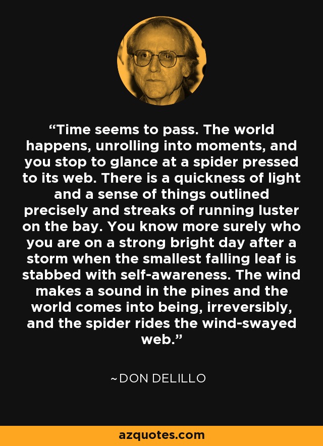 Time seems to pass. The world happens, unrolling into moments, and you stop to glance at a spider pressed to its web. There is a quickness of light and a sense of things outlined precisely and streaks of running luster on the bay. You know more surely who you are on a strong bright day after a storm when the smallest falling leaf is stabbed with self-awareness. The wind makes a sound in the pines and the world comes into being, irreversibly, and the spider rides the wind-swayed web. - Don DeLillo