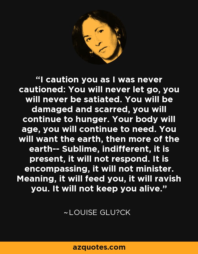 I caution you as I was never cautioned: You will never let go, you will never be satiated. You will be damaged and scarred, you will continue to hunger. Your body will age, you will continue to need. You will want the earth, then more of the earth-- Sublime, indifferent, it is present, it will not respond. It is encompassing, it will not minister. Meaning, it will feed you, it will ravish you. It will not keep you alive. - Louise Glück