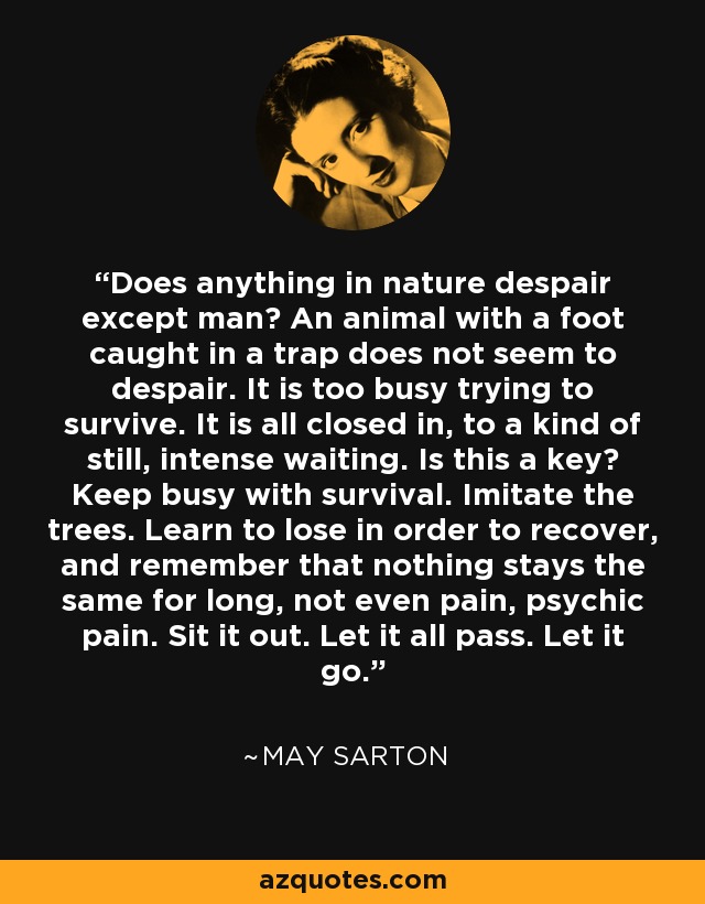 Does anything in nature despair except man? An animal with a foot caught in a trap does not seem to despair. It is too busy trying to survive. It is all closed in, to a kind of still, intense waiting. Is this a key? Keep busy with survival. Imitate the trees. Learn to lose in order to recover, and remember that nothing stays the same for long, not even pain, psychic pain. Sit it out. Let it all pass. Let it go. - May Sarton