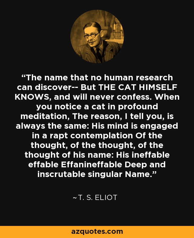 The name that no human research can discover-- But THE CAT HIMSELF KNOWS, and will never confess. When you notice a cat in profound meditation, The reason, I tell you, is always the same: His mind is engaged in a rapt contemplation Of the thought, of the thought, of the thought of his name: His ineffable effable Effanineffable Deep and inscrutable singular Name. - T. S. Eliot