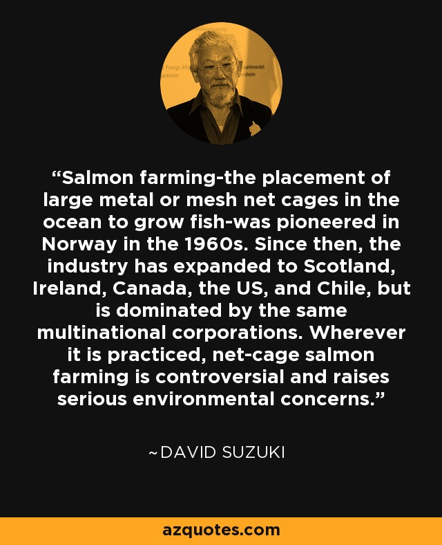 Salmon farming-the placement of large metal or mesh net cages in the ocean to grow fish-was pioneered in Norway in the 1960s. Since then, the industry has expanded to Scotland, Ireland, Canada, the US, and Chile, but is dominated by the same multinational corporations. Wherever it is practiced, net-cage salmon farming is controversial and raises serious environmental concerns. - David Suzuki