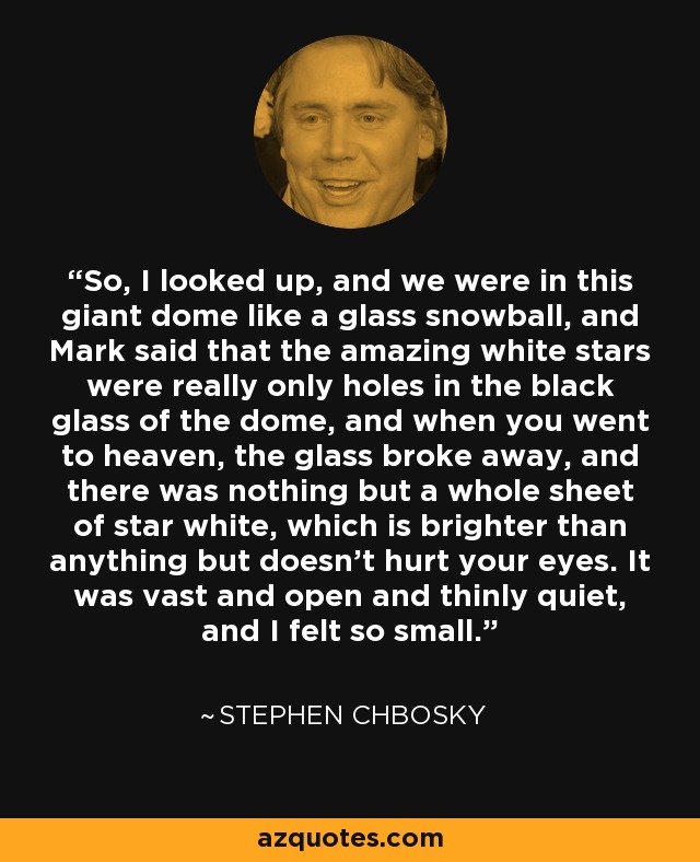 So, I looked up, and we were in this giant dome like a glass snowball, and Mark said that the amazing white stars were really only holes in the black glass of the dome, and when you went to heaven, the glass broke away, and there was nothing but a whole sheet of star white, which is brighter than anything but doesn't hurt your eyes. It was vast and open and thinly quiet, and I felt so small. - Stephen Chbosky