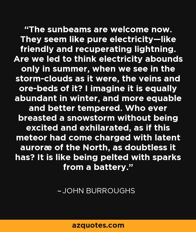 The sunbeams are welcome now. They seem like pure electricity—like friendly and recuperating lightning. Are we led to think electricity abounds only in summer, when we see in the storm-clouds as it were, the veins and ore-beds of it? I imagine it is equally abundant in winter, and more equable and better tempered. Who ever breasted a snowstorm without being excited and exhilarated, as if this meteor had come charged with latent auroræ of the North, as doubtless it has? It is like being pelted with sparks from a battery. - John Burroughs