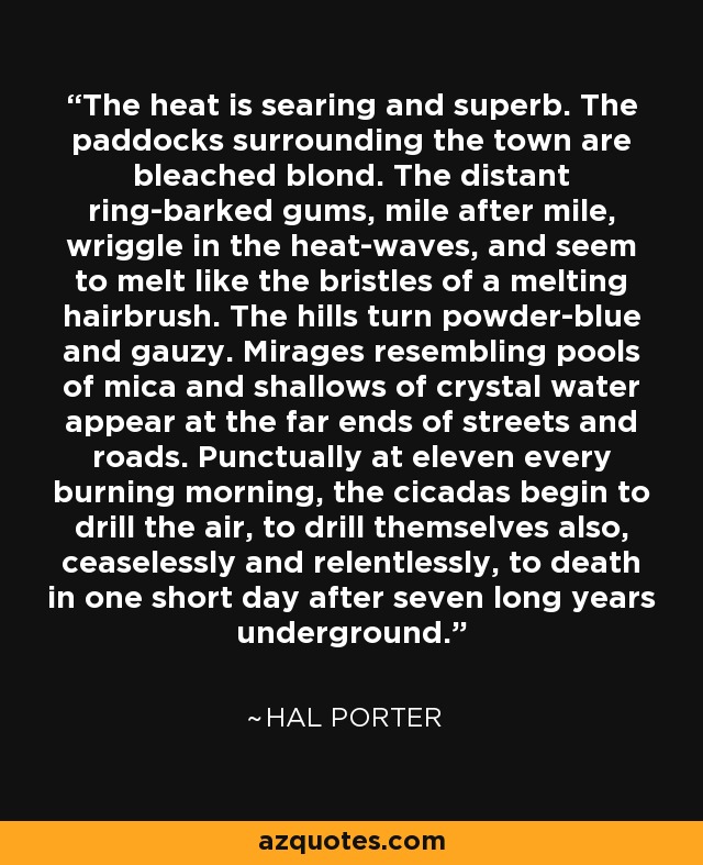 The heat is searing and superb. The paddocks surrounding the town are bleached blond. The distant ring-barked gums, mile after mile, wriggle in the heat-waves, and seem to melt like the bristles of a melting hairbrush. The hills turn powder-blue and gauzy. Mirages resembling pools of mica and shallows of crystal water appear at the far ends of streets and roads. Punctually at eleven every burning morning, the cicadas begin to drill the air, to drill themselves also, ceaselessly and relentlessly, to death in one short day after seven long years underground. - Hal Porter