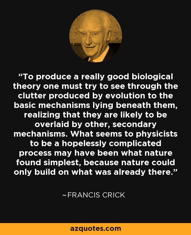 To produce a really good biological theory one must try to see through the clutter produced by evolution to the basic mechanisms lying beneath them, realizing that they are likely to be overlaid by other, secondary mechanisms. What seems to physicists to be a hopelessly complicated process may have been what nature found simplest, because nature could only build on what was already there. - Francis Crick