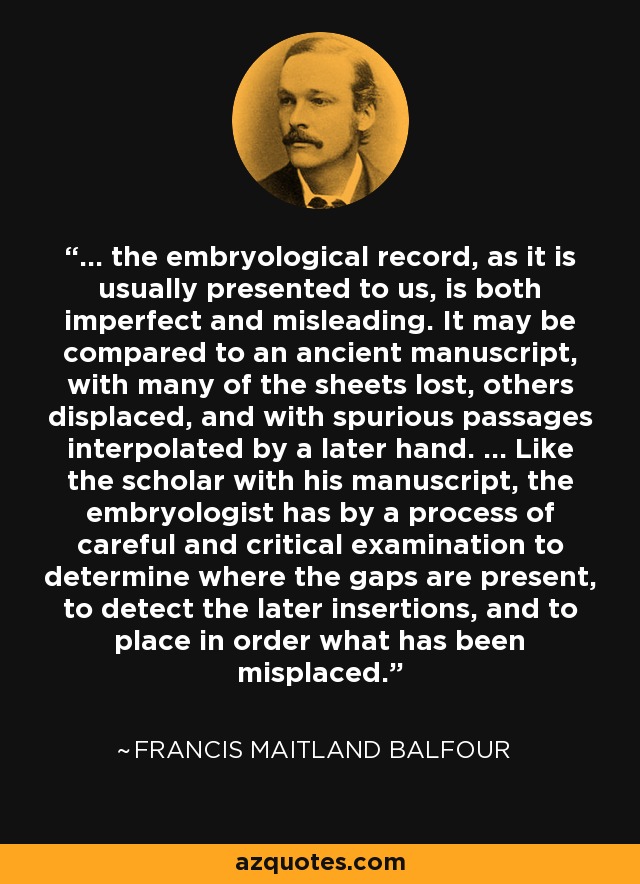 ... the embryological record, as it is usually presented to us, is both imperfect and misleading. It may be compared to an ancient manuscript, with many of the sheets lost, others displaced, and with spurious passages interpolated by a later hand. ... Like the scholar with his manuscript, the embryologist has by a process of careful and critical examination to determine where the gaps are present, to detect the later insertions, and to place in order what has been misplaced. - Francis Maitland Balfour