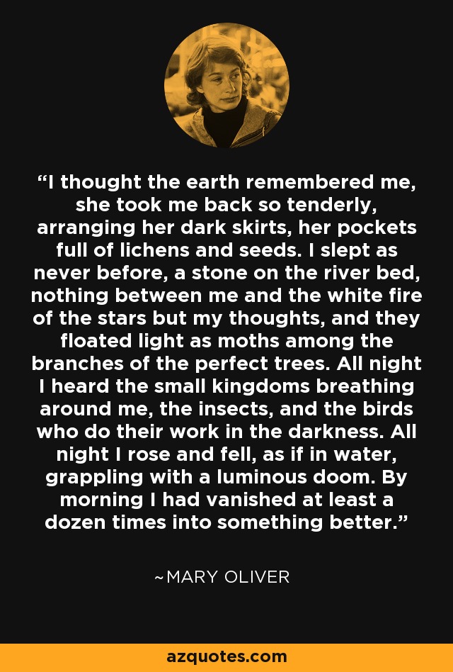 I thought the earth remembered me, she took me back so tenderly, arranging her dark skirts, her pockets full of lichens and seeds. I slept as never before, a stone on the river bed, nothing between me and the white fire of the stars but my thoughts, and they floated light as moths among the branches of the perfect trees. All night I heard the small kingdoms breathing around me, the insects, and the birds who do their work in the darkness. All night I rose and fell, as if in water, grappling with a luminous doom. By morning I had vanished at least a dozen times into something better. - Mary Oliver