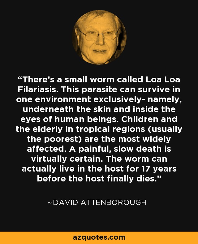 There's a small worm called Loa Loa Filariasis. This parasite can survive in one environment exclusively- namely, underneath the skin and inside the eyes of human beings. Children and the elderly in tropical regions (usually the poorest) are the most widely affected. A painful, slow death is virtually certain. The worm can actually live in the host for 17 years before the host finally dies. - David Attenborough