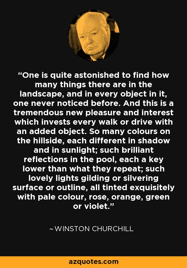 One is quite astonished to find how many things there are in the landscape, and in every object in it, one never noticed before. And this is a tremendous new pleasure and interest which invests every walk or drive with an added object. So many colours on the hillside, each different in shadow and in sunlight; such brilliant reflections in the pool, each a key lower than what they repeat; such lovely lights gilding or silvering surface or outline, all tinted exquisitely with pale colour, rose, orange, green or violet. - Winston Churchill