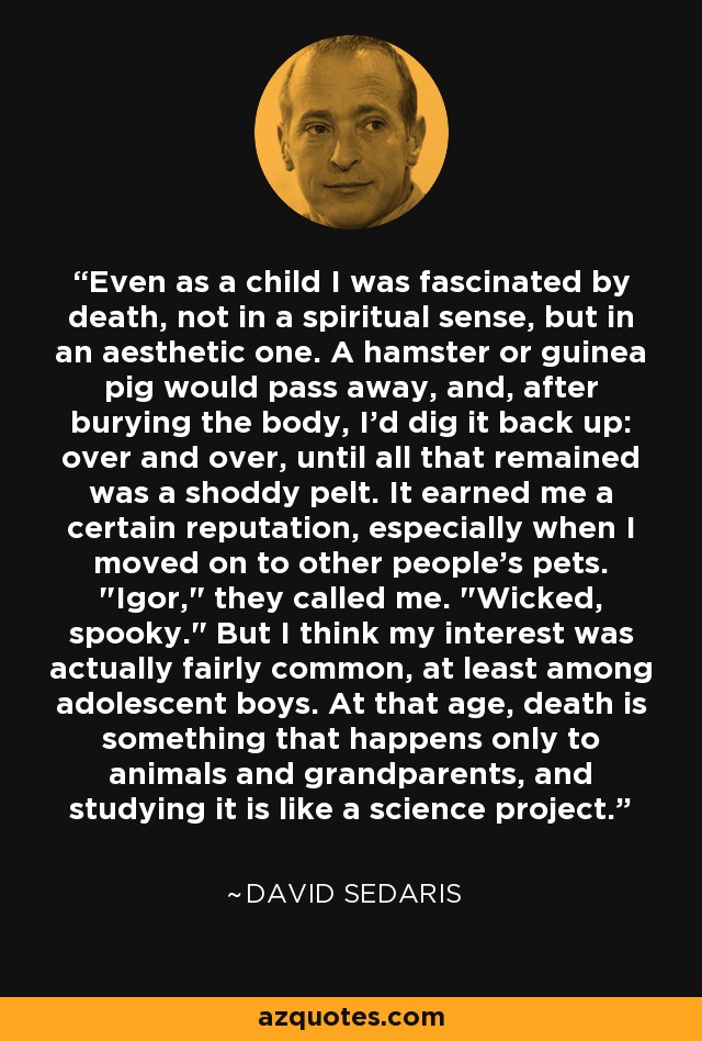 Even as a child I was fascinated by death, not in a spiritual sense, but in an aesthetic one. A hamster or guinea pig would pass away, and, after burying the body, I'd dig it back up: over and over, until all that remained was a shoddy pelt. It earned me a certain reputation, especially when I moved on to other people's pets. 