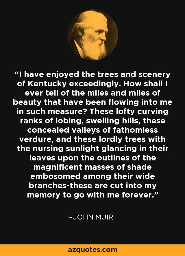 I have enjoyed the trees and scenery of Kentucky exceedingly. How shall I ever tell of the miles and miles of beauty that have been flowing into me in such measure? These lofty curving ranks of lobing, swelling hills, these concealed valleys of fathomless verdure, and these lordly trees with the nursing sunlight glancing in their leaves upon the outlines of the magnificent masses of shade embosomed among their wide branches-these are cut into my memory to go with me forever. - John Muir