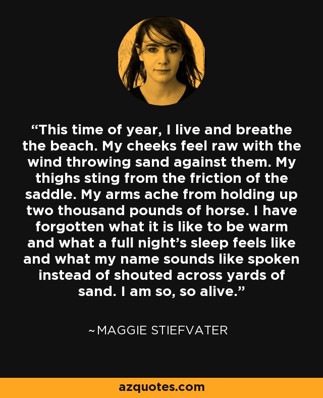 This time of year, I live and breathe the beach. My cheeks feel raw with the wind throwing sand against them. My thighs sting from the friction of the saddle. My arms ache from holding up two thousand pounds of horse. I have forgotten what it is like to be warm and what a full night’s sleep feels like and what my name sounds like spoken instead of shouted across yards of sand. I am so, so alive. - Maggie Stiefvater