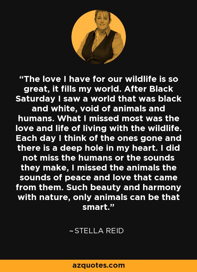 The love I have for our wildlife is so great, it fills my world. After Black Saturday I saw a world that was black and white, void of animals and humans. What I missed most was the love and life of living with the wildlife. Each day I think of the ones gone and there is a deep hole in my heart. I did not miss the humans or the sounds they make, I missed the animals the sounds of peace and love that came from them. Such beauty and harmony with nature, only animals can be that smart. - Stella Reid