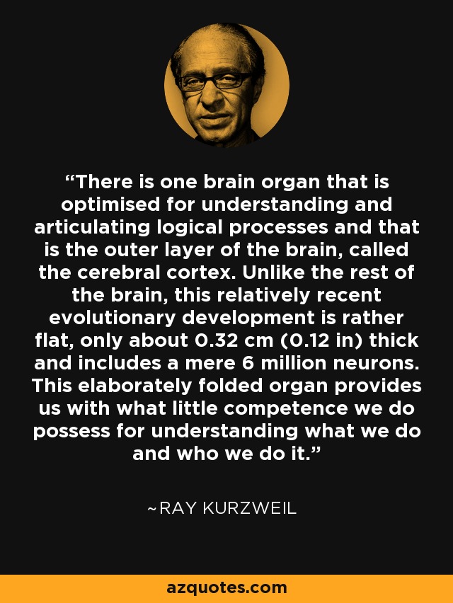 There is one brain organ that is optimised for understanding and articulating logical processes and that is the outer layer of the brain, called the cerebral cortex. Unlike the rest of the brain, this relatively recent evolutionary development is rather flat, only about 0.32 cm (0.12 in) thick and includes a mere 6 million neurons. This elaborately folded organ provides us with what little competence we do possess for understanding what we do and who we do it. - Ray Kurzweil