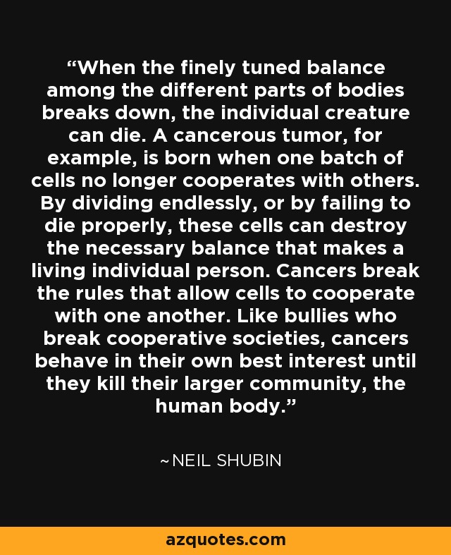 When the finely tuned balance among the different parts of bodies breaks down, the individual creature can die. A cancerous tumor, for example, is born when one batch of cells no longer cooperates with others. By dividing endlessly, or by failing to die properly, these cells can destroy the necessary balance that makes a living individual person. Cancers break the rules that allow cells to cooperate with one another. Like bullies who break cooperative societies, cancers behave in their own best interest until they kill their larger community, the human body. - Neil Shubin