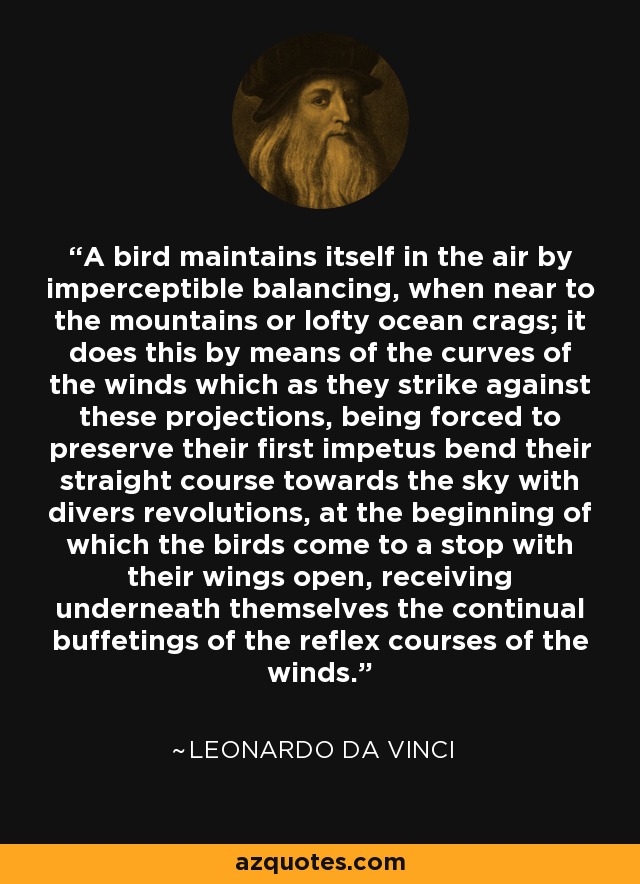 A bird maintains itself in the air by imperceptible balancing, when near to the mountains or lofty ocean crags; it does this by means of the curves of the winds which as they strike against these projections, being forced to preserve their first impetus bend their straight course towards the sky with divers revolutions, at the beginning of which the birds come to a stop with their wings open, receiving underneath themselves the continual buffetings of the reflex courses of the winds. - Leonardo da Vinci