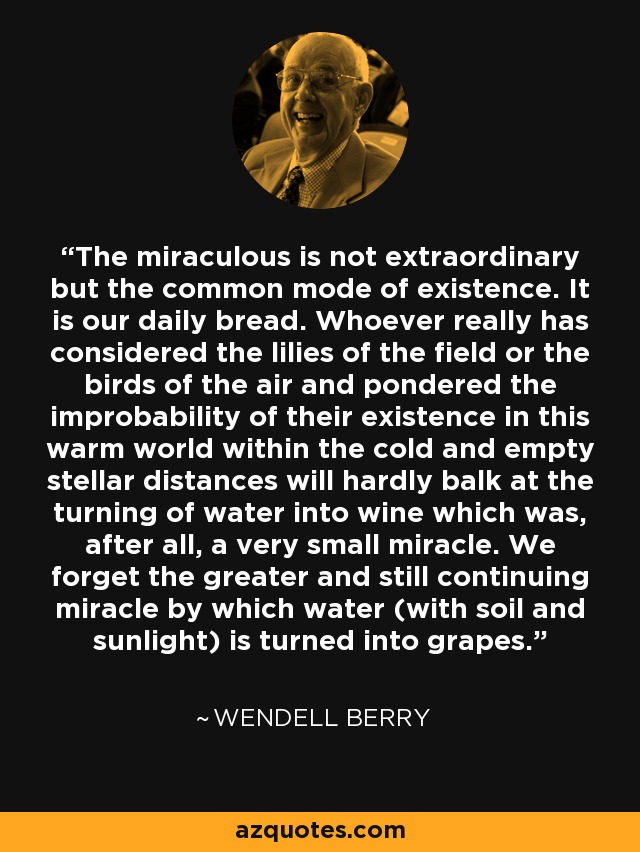 The miraculous is not extraordinary but the common mode of existence. It is our daily bread. Whoever really has considered the lilies of the field or the birds of the air and pondered the improbability of their existence in this warm world within the cold and empty stellar distances will hardly balk at the turning of water into wine which was, after all, a very small miracle. We forget the greater and still continuing miracle by which water (with soil and sunlight) is turned into grapes. - Wendell Berry