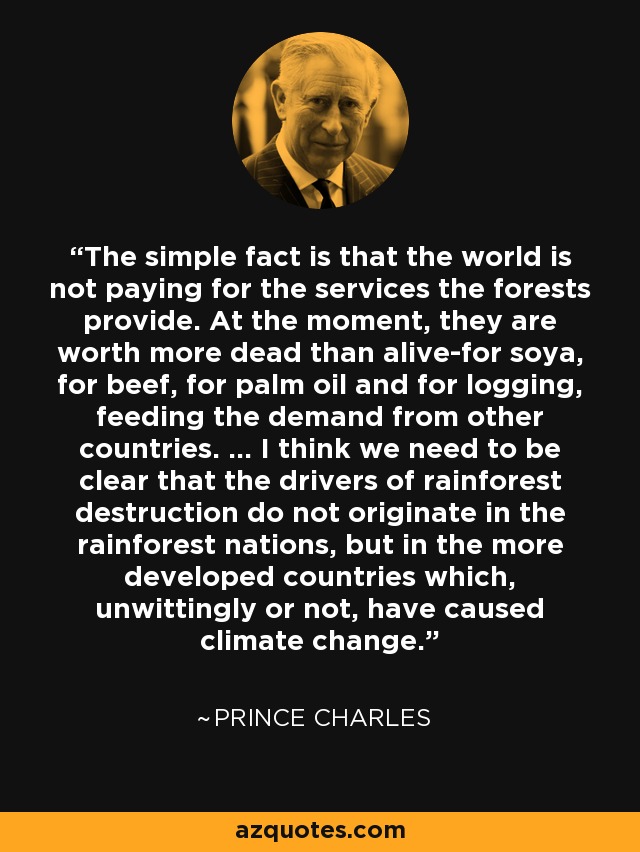 The simple fact is that the world is not paying for the services the forests provide. At the moment, they are worth more dead than alive-for soya, for beef, for palm oil and for logging, feeding the demand from other countries. ... I think we need to be clear that the drivers of rainforest destruction do not originate in the rainforest nations, but in the more developed countries which, unwittingly or not, have caused climate change. - Prince Charles