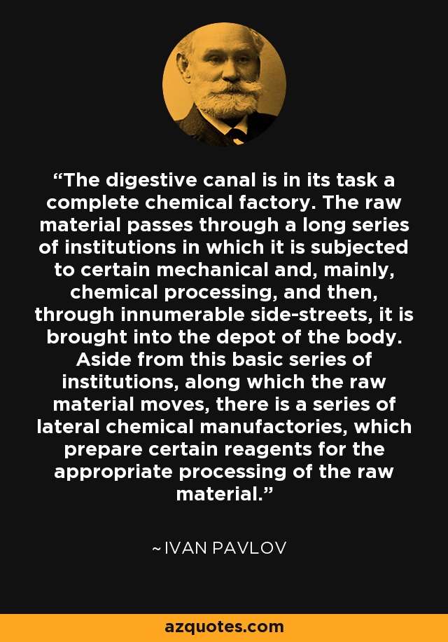 The digestive canal is in its task a complete chemical factory. The raw material passes through a long series of institutions in which it is subjected to certain mechanical and, mainly, chemical processing, and then, through innumerable side-streets, it is brought into the depot of the body. Aside from this basic series of institutions, along which the raw material moves, there is a series of lateral chemical manufactories, which prepare certain reagents for the appropriate processing of the raw material. - Ivan Pavlov