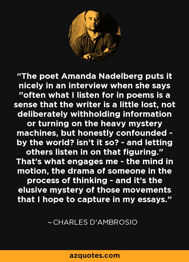 The poet Amanda Nadelberg puts it nicely in an interview when she says 