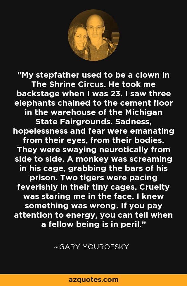 My stepfather used to be a clown in The Shrine Circus. He took me backstage when I was 23. I saw three elephants chained to the cement floor in the warehouse of the Michigan State Fairgrounds. Sadness, hopelessness and fear were emanating from their eyes, from their bodies. They were swaying neurotically from side to side. A monkey was screaming in his cage, grabbing the bars of his prison. Two tigers were pacing feverishly in their tiny cages. Cruelty was staring me in the face. I knew something was wrong. If you pay attention to energy, you can tell when a fellow being is in peril. - Gary Yourofsky